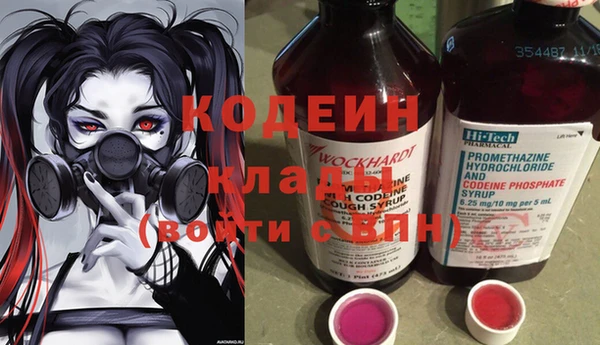 твердый Протвино