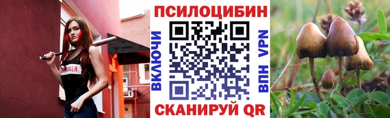 ссылка на мегу ссылка  Нижняя Салда  Псилоцибиновые грибы Cubensis  как найти наркотики 