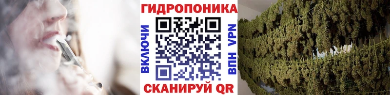 где можно купить   Нижняя Салда  Каннабис сатива 
